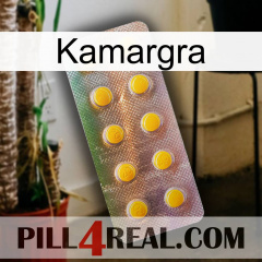 Kamargra new11